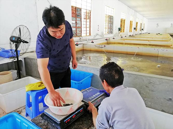 阳澄湖胡良明:卖掉工厂返乡养蟹,这是我第三次创业
